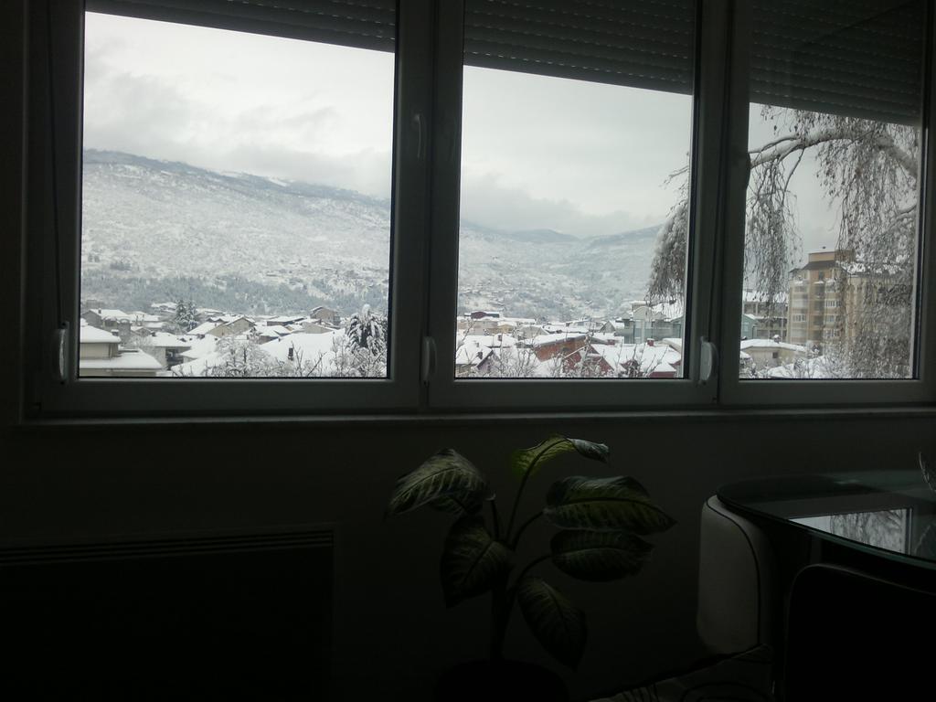Apartment Goran And Milena Ohrid Værelse billede